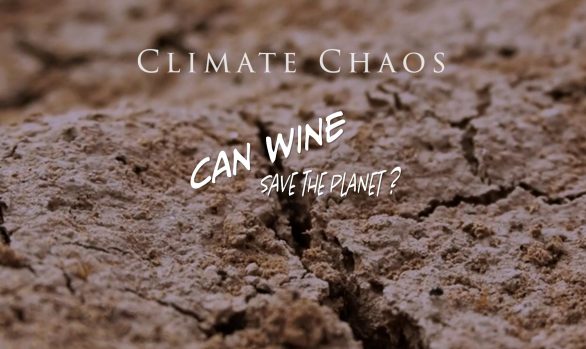 Our planet is in the midst of climate chaos. We're seeing the desertification of land. Chaotic rain events and flooding, heat events and severe drought. Not to mention the plastic and trash littering our globe. Carbon released into the atmosphere shapes our climate. Warming parts of the climate and causing glaciers to crumble. And jet streams to slow and stagnate. We watch as the world around us changes in unexpected and dangerous ways. Vineyards, both large and small, are embracing farming methods that revitalize their soils. This sequesters carbon and helps mitigate climate change.